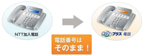 電話番号はそのまま！
